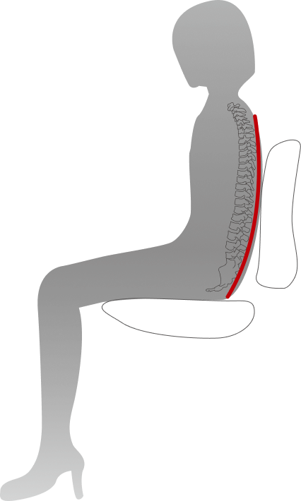 それは、座ると背骨のS字カーブが崩れるからです。